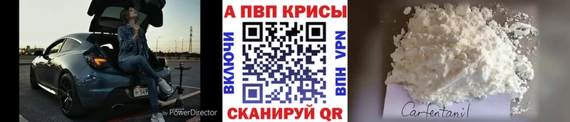 Альфа ПВП СК КРИС Кущёвская