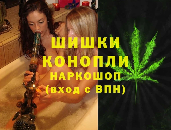 apvp Надым