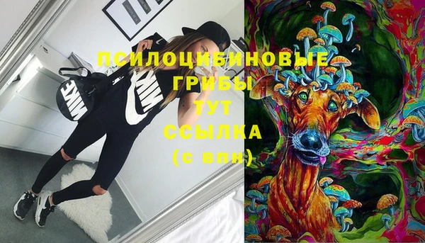 apvp Надым